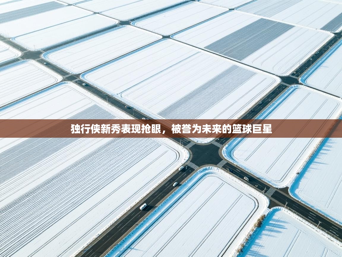 开云体育app下载-独行侠新秀表现抢眼，被誉为未来的篮球巨星  第1张