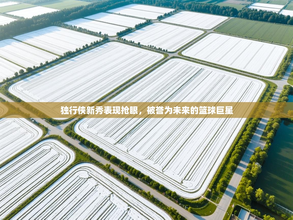 开云体育app下载-独行侠新秀表现抢眼，被誉为未来的篮球巨星  第2张