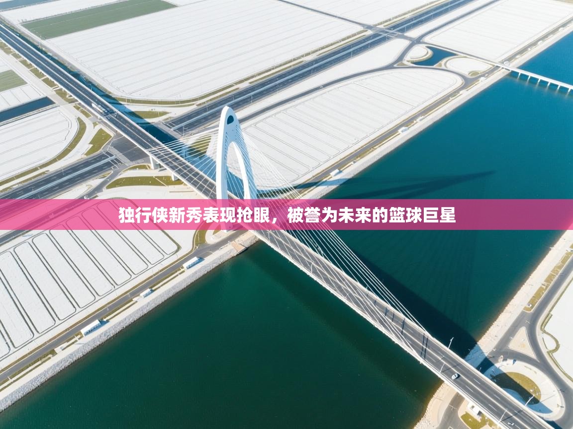 开云体育app下载-独行侠新秀表现抢眼，被誉为未来的篮球巨星  第3张