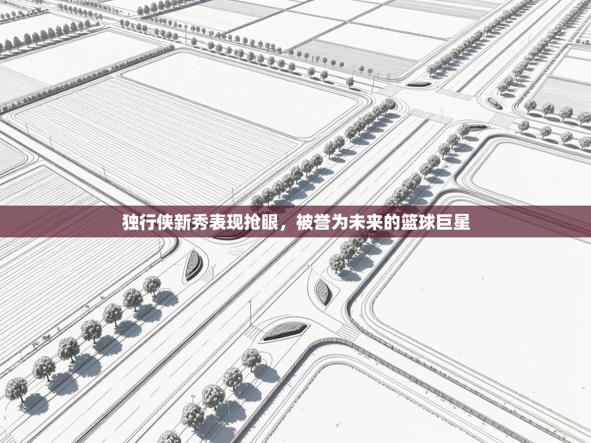 开云体育app下载-独行侠新秀表现抢眼，被誉为未来的篮球巨星  第4张